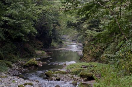 横瀬川.jpg