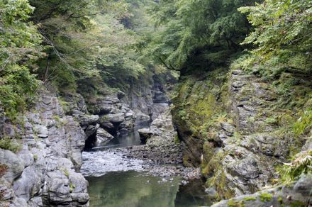 荒川.jpg
