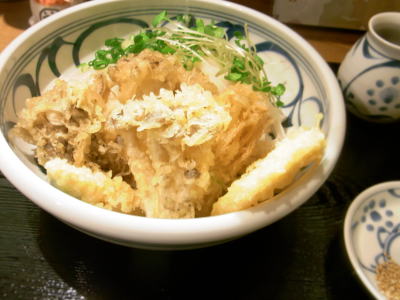 秋野菜てんぷらうどん.jpg