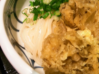 秋野菜てんぷらうどんUP.jpg