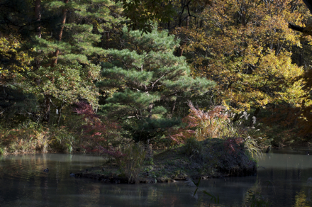 森林公園1.jpg