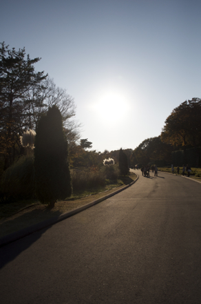森林公園10.jpg
