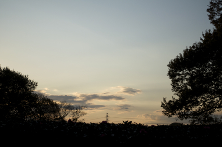 森林公園11.jpg