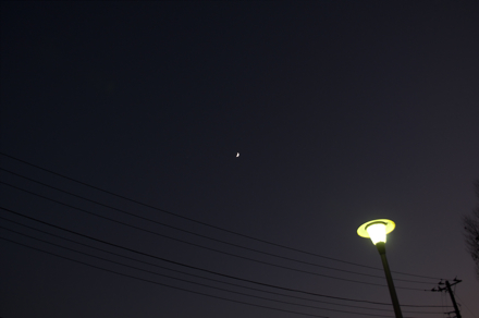 森林公園12.jpg