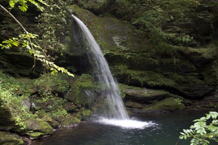 竜門の滝.jpg