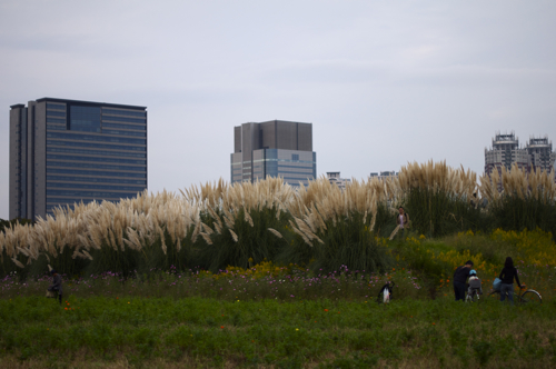 DCEXPO20105.jpg