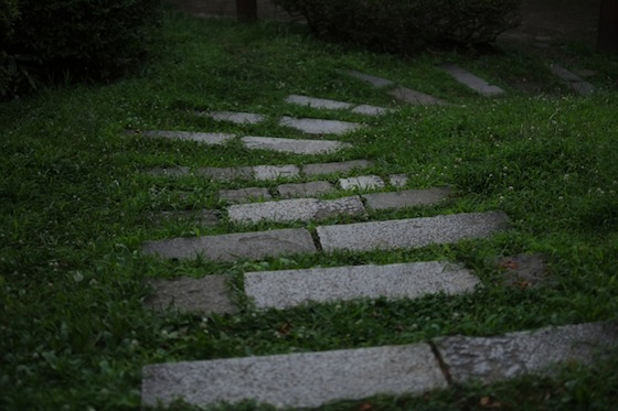 DSCF1438.jpg