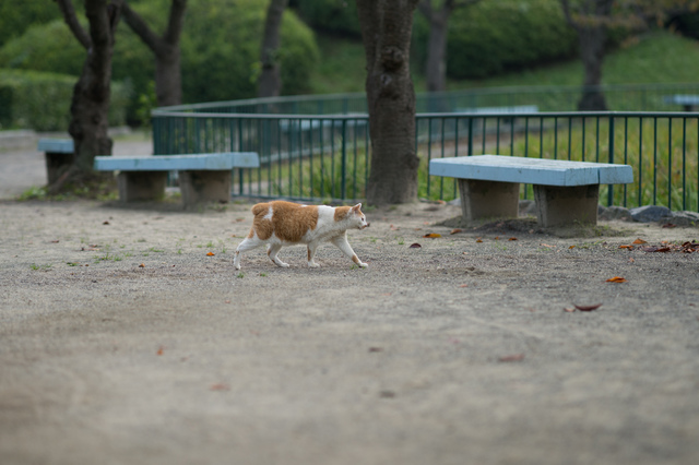 Park04.jpg