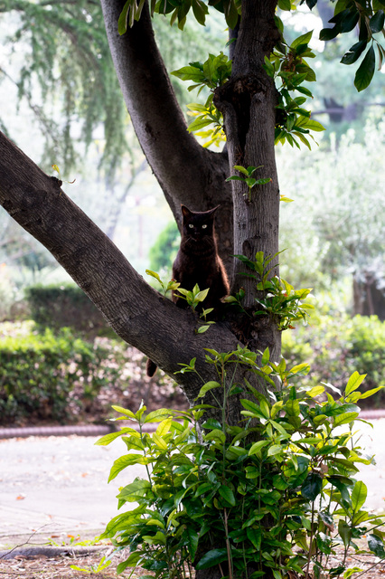 Park05.jpg