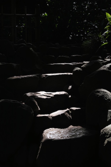 SDIM0032.jpg