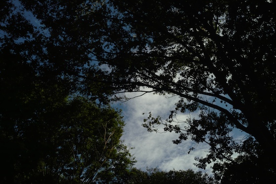 SDIM0143.jpg