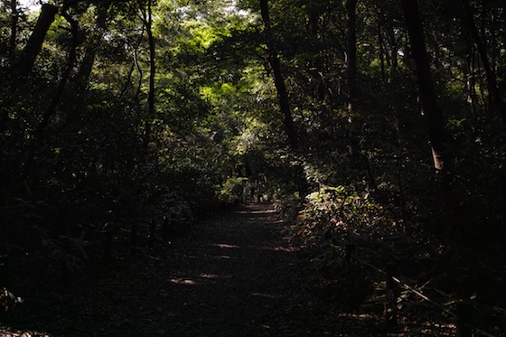 SDIM0504.jpg