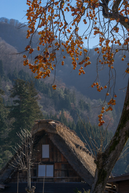 Shirakawa Go08.jpg