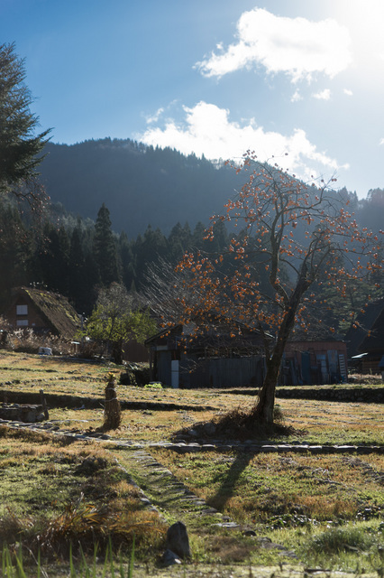 Shirakawa Go10.jpg