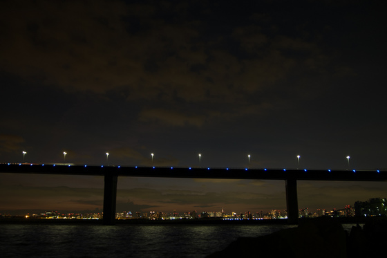 TOKYO BRIDGE-5.jpg