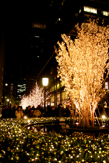 Xmas Illumination 6.jpg