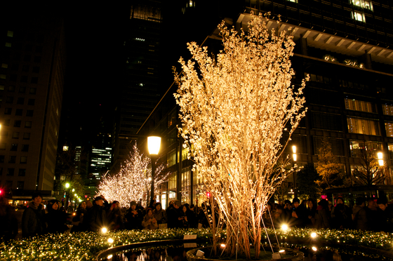 Xmas Illumination 7.jpg