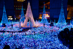Xmas illumination.png