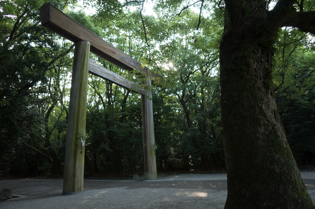 atsuta05.jpg