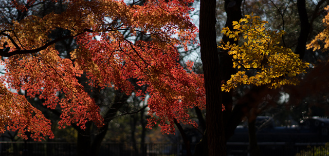 edotokyo05.jpg