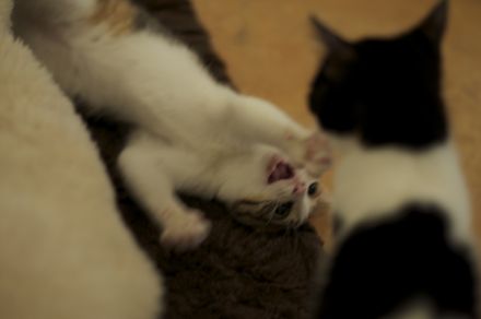 ɂ[