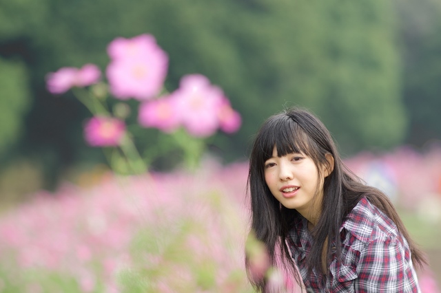 owakirikako3 4.jpg