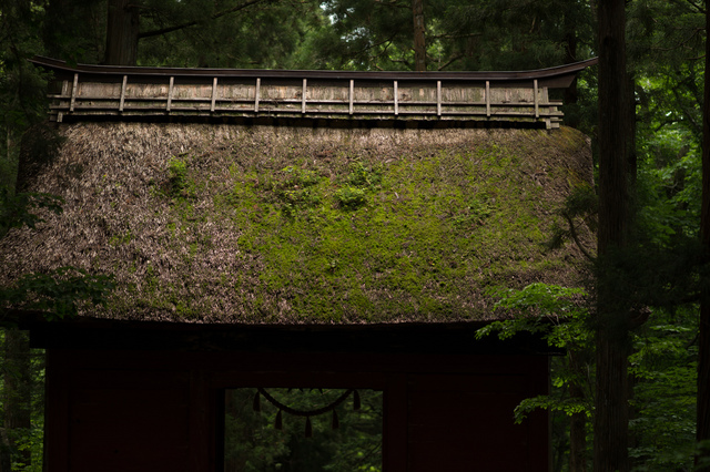 togakushi19.jpg