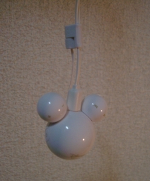 with a strap 2.jpg